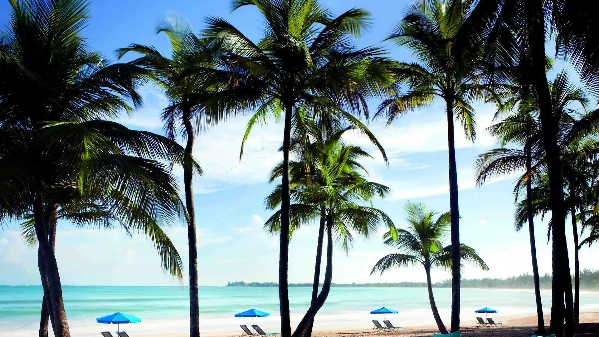 The Ritz-Carlton, San Juan Hotel